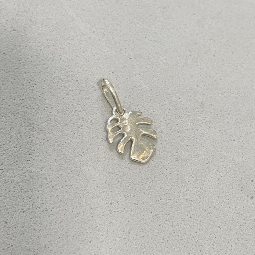 Pingente Costela de Adão - Prata 925